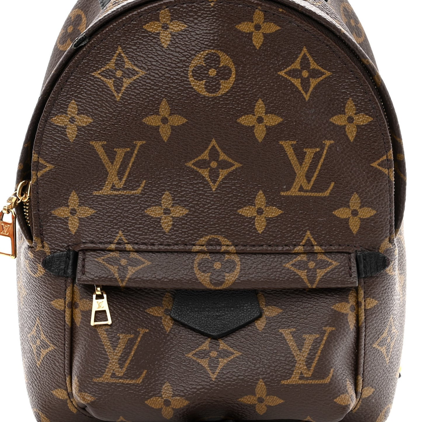 Monogram Palm Springs Backpack Mini